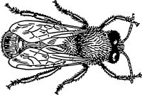 drone 1