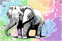 Elephant in a Rainbow