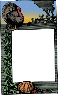 Turkey Frame - Colour Remix