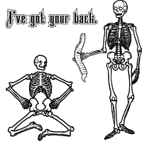 Humorous Spine Image