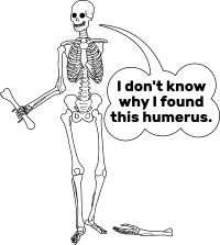 Humerus Bone Image