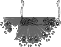Cat 3