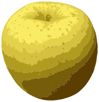 Yellow Apple