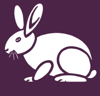 Simple Rabbit Purple