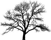 AI Generated Tree By Geralt Vectorized