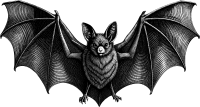 AI Generated Bat 10
