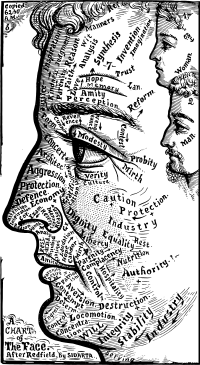 A Chart of the Face