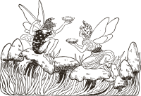 Fairies