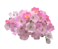 Pink Flowers