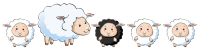 Black Sheep with Family