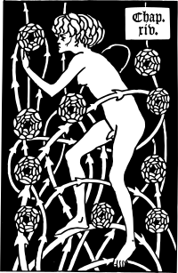 Hermaphroditus