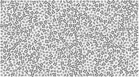 Floral Pattern