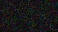 Floral Pattern Colorful