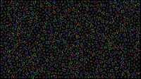Floral Pattern Chromatic