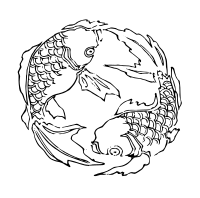 Japanese Goldfish Spin Design