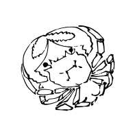 Japanese Crab Design