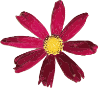 Red Flower