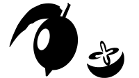 Sapodilla 