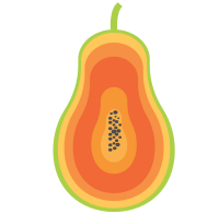 Papaya Isolated