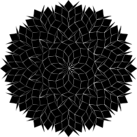 Dodecagon Flower Reignited Duochrome