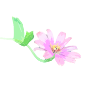 Side Flower