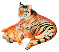 Tiger and Cub