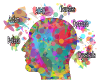 Spectrum of Neurodiversity