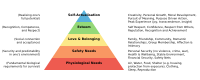 Maslow's hierarchy of needs