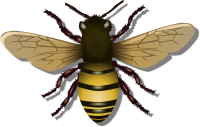 Bee - Black and Yellow Remix