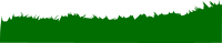 More Grass as Silhouette