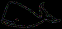 Whale Splatter Colorful