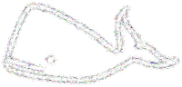 Whale Splatter Colorful No BG