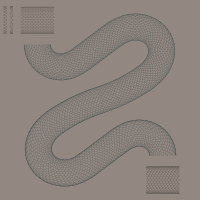 snake skin pattern along path