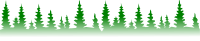 Silhouette of forest