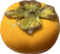 Persimmon