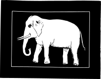 Elephant in a Square