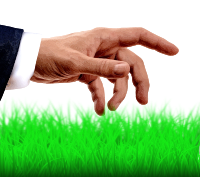 Touch Grass