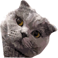Big Cat Face - Remix