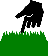 Touch Grass Pictogram