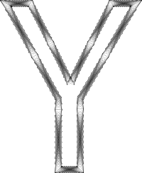 Geometry Wireframe Alphabet Y