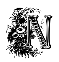 N Drop Cap