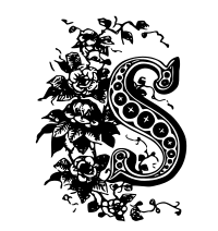 S Drop Cap