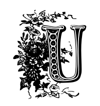 U Drop Cap