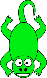 Lizard