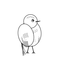 Bird More Detail