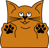 Orange cat