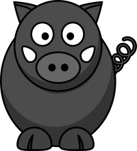 Wild Boar