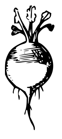 Lutz - Radish - outline