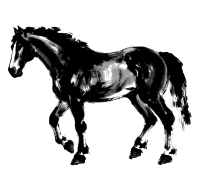 Year of the Horse 1