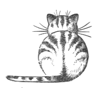 Lutz - Cat Back - grayscale